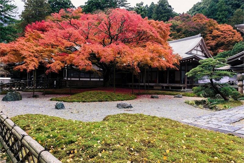 Raizan Sennyoji Daihioin Temple